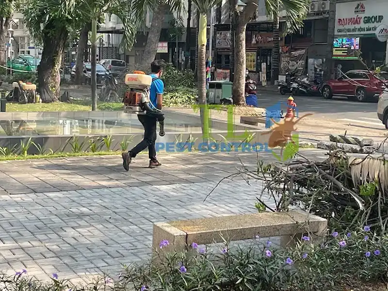 dịch vụ diệt ruồi