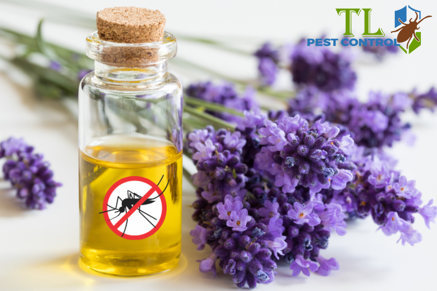 Các Phương Pháp Diệt Muỗi Tận Gốc, An Toàn và Hiệu Quả Nhất 