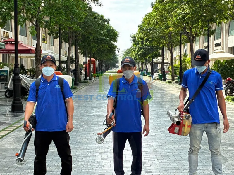 Khi nào nên gọi đơn vị diệt mối chuyên nghiệp Trần Long