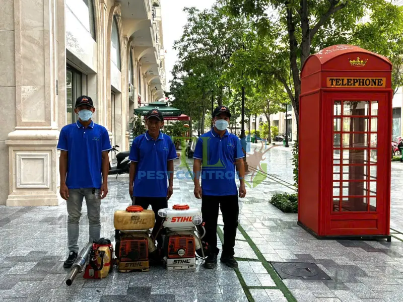 Dịch vụ phun thuốc muỗi chuyên nghiệp Trần Long