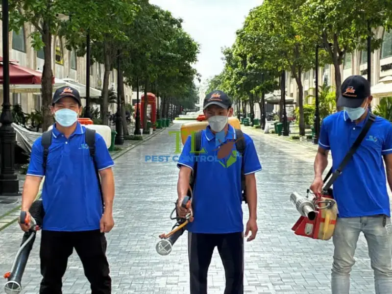diệt mối bình tân