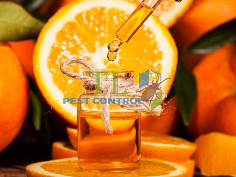 tinh dầu cam diệt mọt gỗ