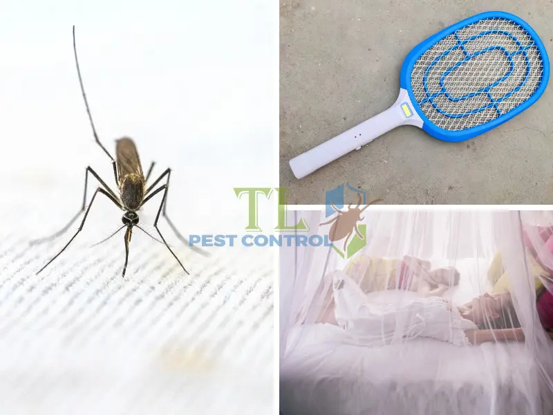 Mẹo tránh muỗi đốt bằng các biện pháp vật lý
