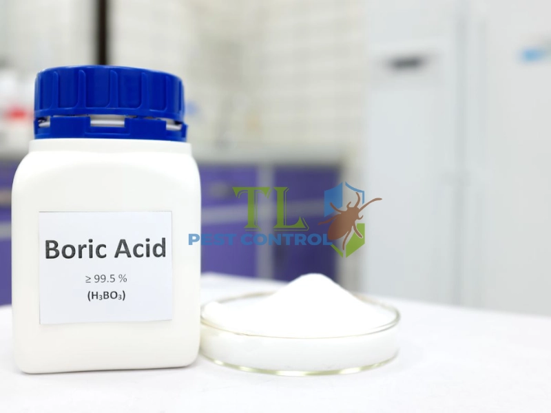 mẹo đuổi kiến lửa ra khỏi nhà