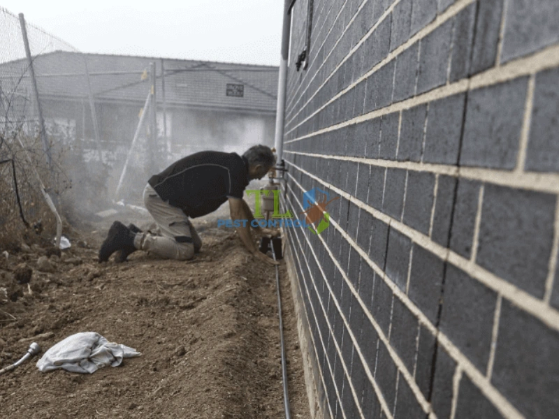 Hệ thống chống mối Termite-pro Hệ thống chống mối Termite-pro