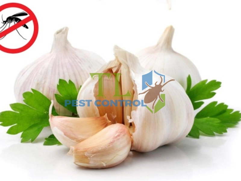 cách đuổi muỗi bằng sả tỏi