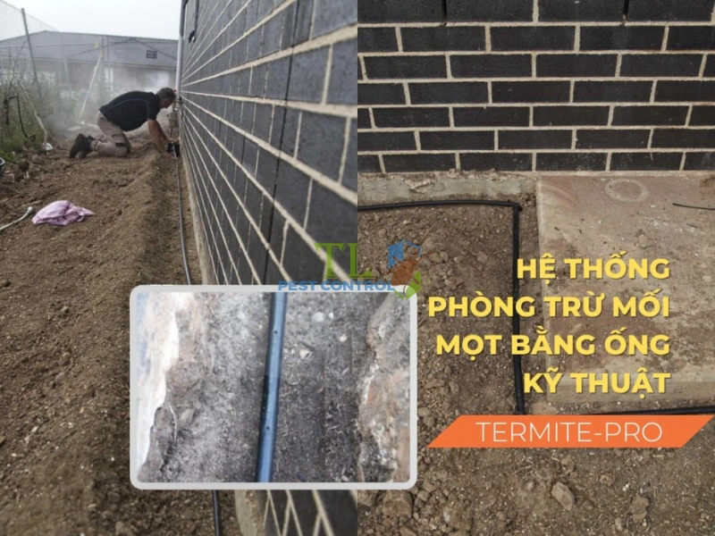 Hệ thống chống mối Termite-pro Hệ thống chống mối Termite-pro