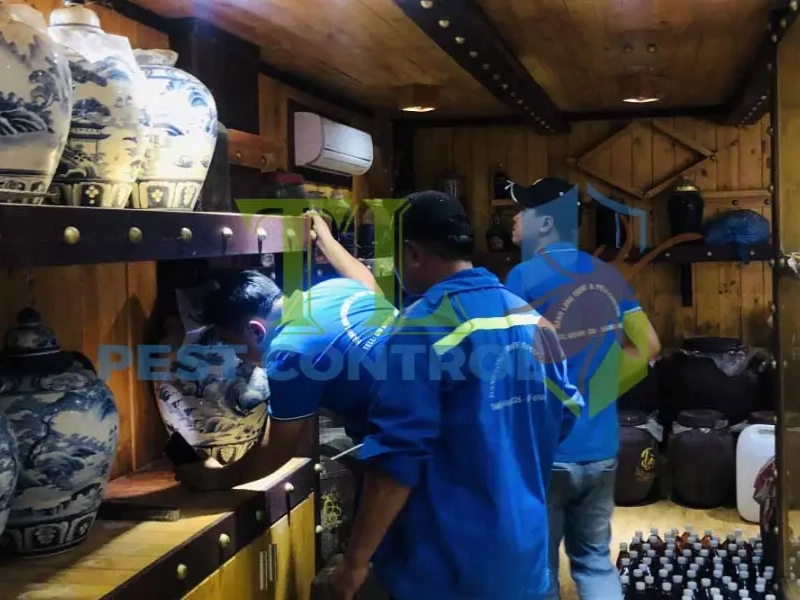 dịch vụ diệt mối ghe tàu dịch vụ diệt mối ghe tàu
