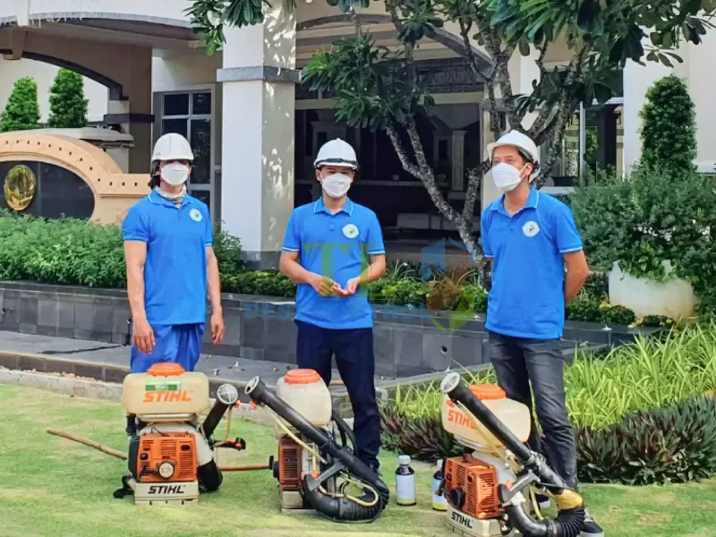 Quy trình dịch vụ diệt mối chuyên nghiệp của Trần Long tại phường Bàn Cờ