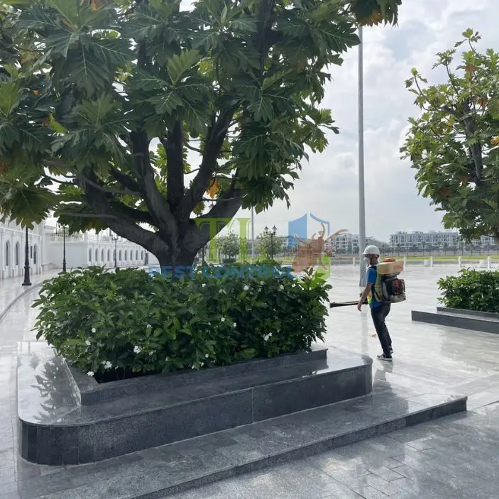 Diệt muỗi Hóc Môn