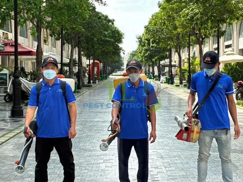 công ty diệt mối quận 2