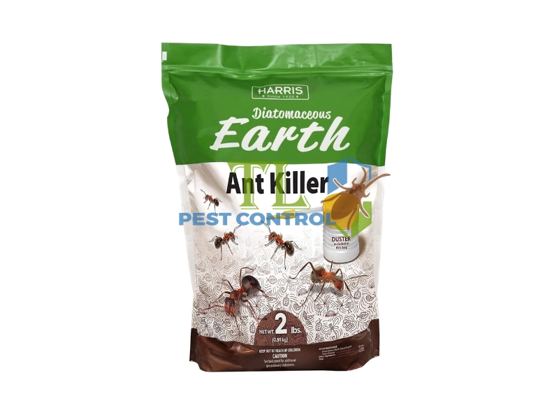 cách diệt kiến không độc hại cách diệt kiến không độc hại