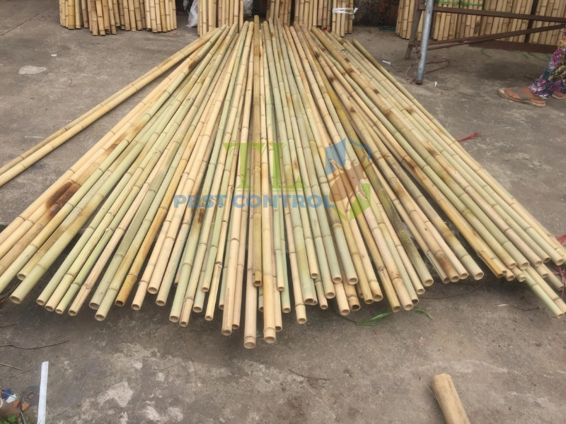 Phơi khô và thông gió đúng cách