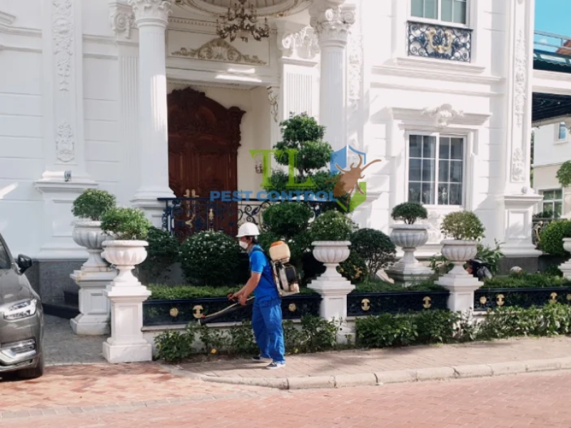  Dịch vụ phòng chống mối cho công trình tại Phường Vườn Lài