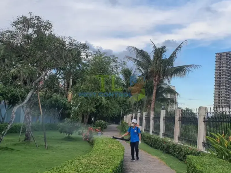 Tham khảo thêm các dịch vụ lân cận của Trần Long