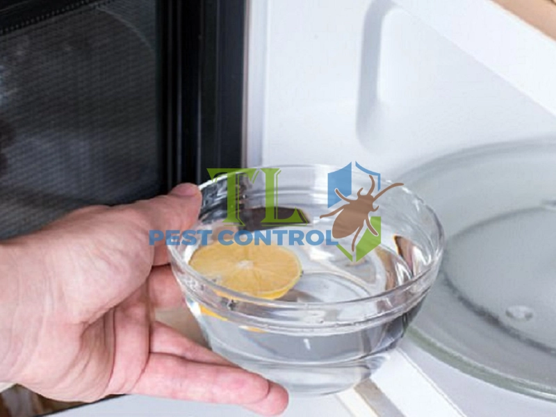 diệt mối tủ bếp