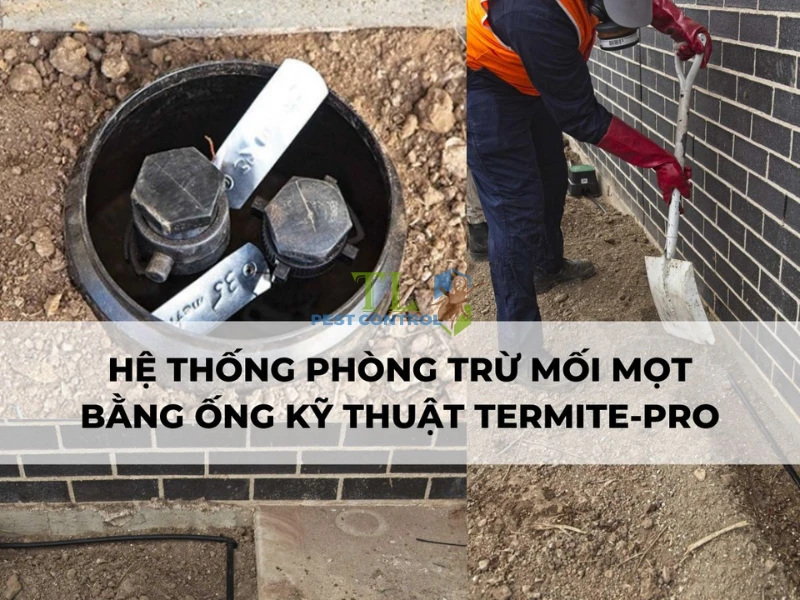Hệ Thống Phòng Mối Termite-Pro