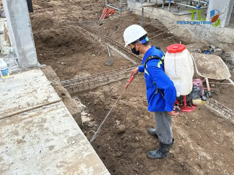 diệt mối tân phú