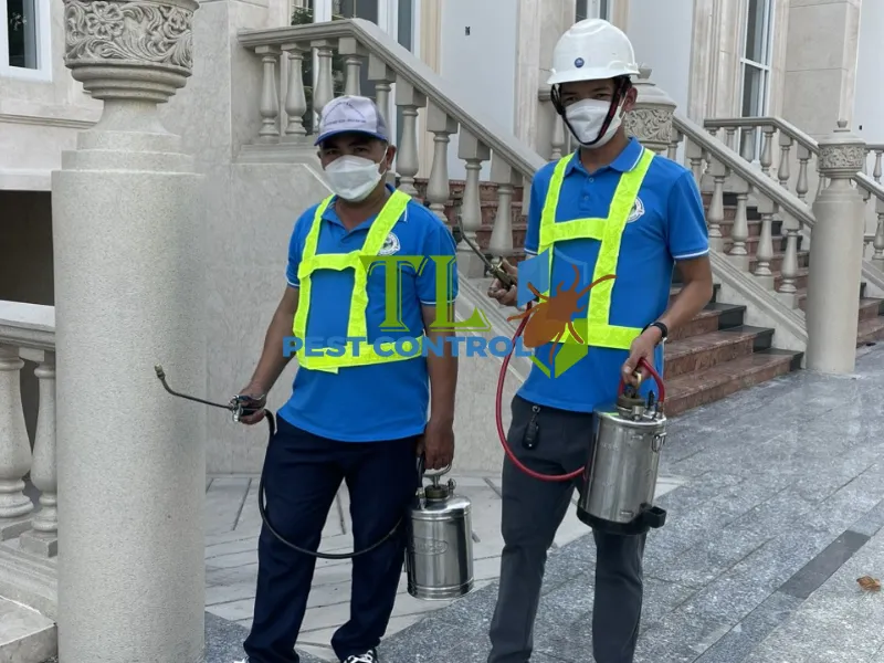 Trần Long là nơi cung cấp dịch vụ diệt kiến tại nhà tận gốc chuyên nghiệp, hiệu quả
