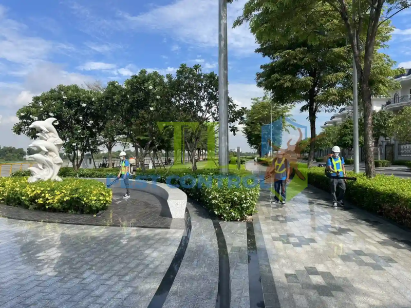 Các bước diệt mối chuyên nghiệp tại phường Minh Phụng