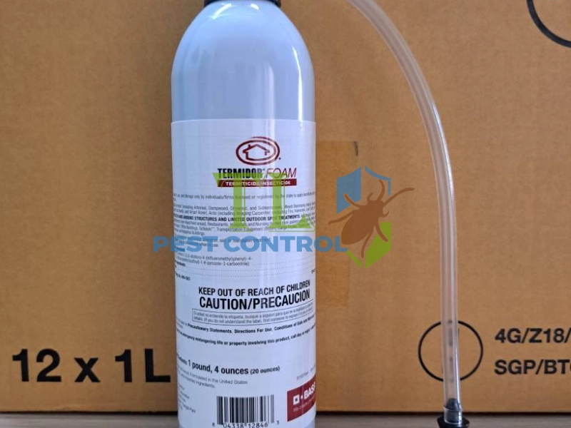 dịch vụ diệt mối quán cafe dịch vụ diệt mối quán cafe