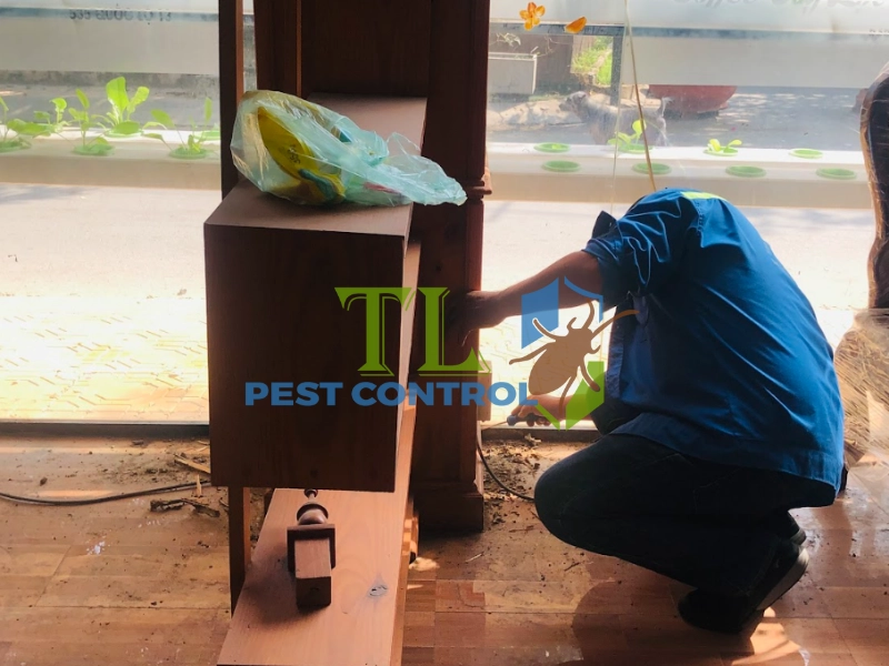 Chống mối đối với các bộ phận kết cấu gỗ và khe lún