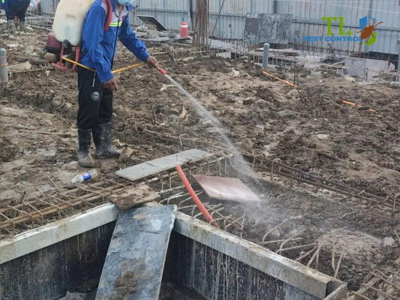 diệt mối tại Bình Tân