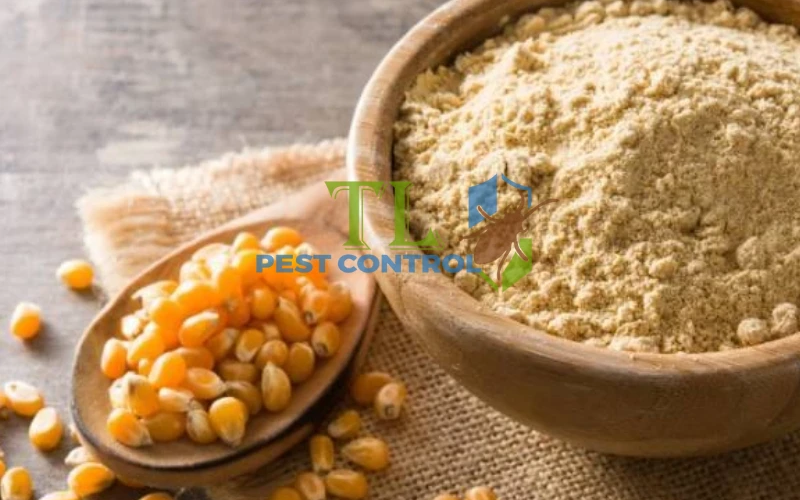 Biện pháp tự nhiên và DIY