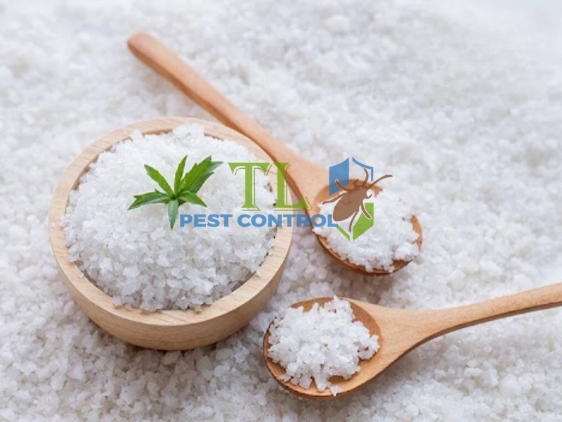 Diệt kiến bằng muối ăn