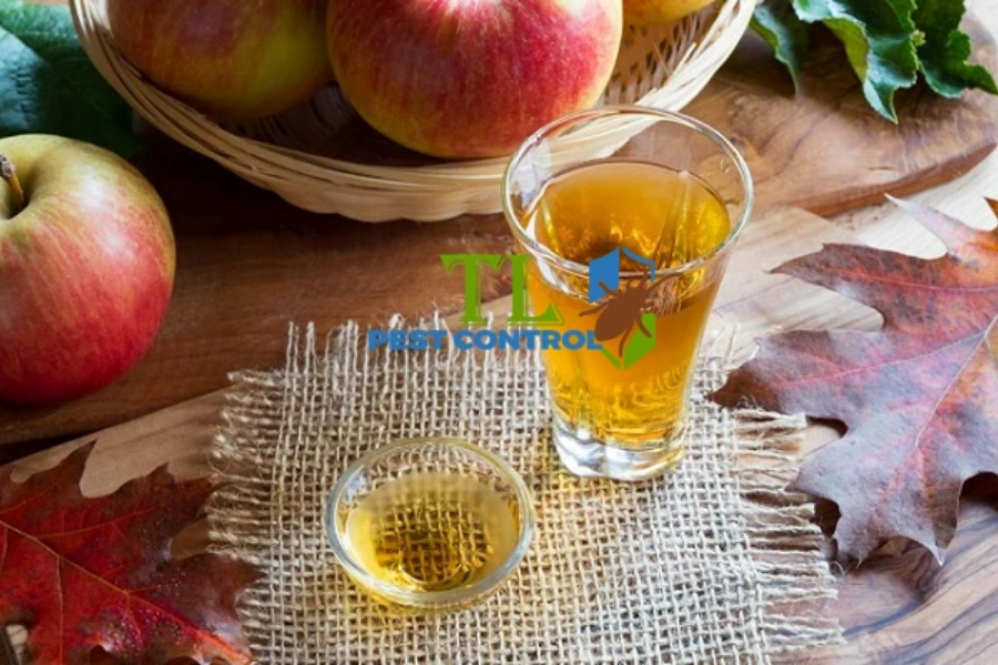 Dùng giấm táo làm bẫy ruồi 