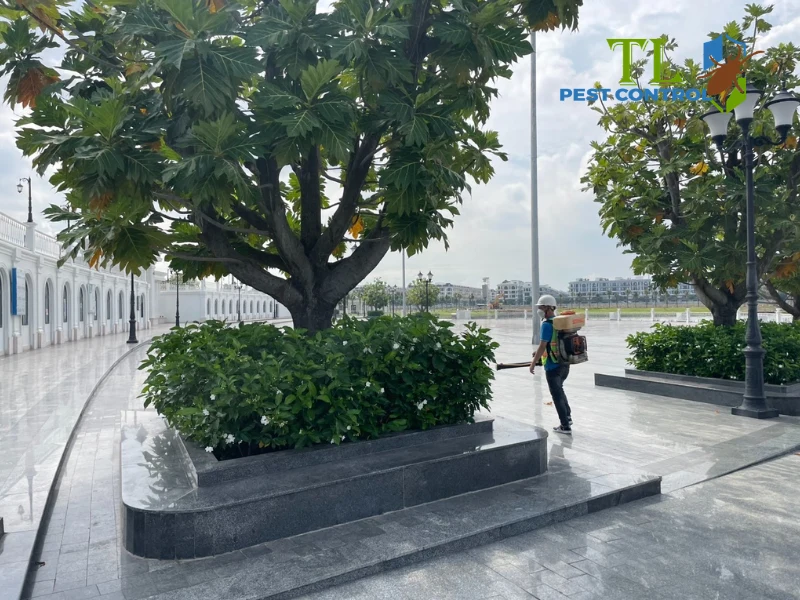mùi thuốc diệt mối bao lâu thì hết