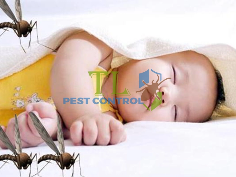 phun thuốc muỗi có hại cho trẻ sơ sinh không