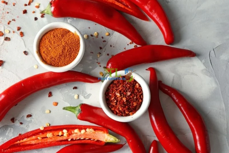 Diệt chuột bằng bột ớt 