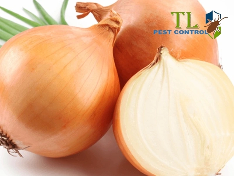 cách đuổi muỗi bằng hành tây