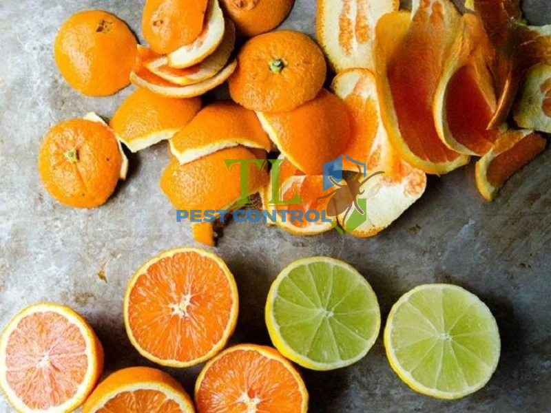 Diệt kiến bằng vỏ cam, quýt