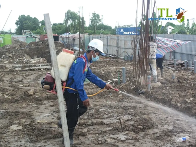diệt mối tại quận Bình Tân