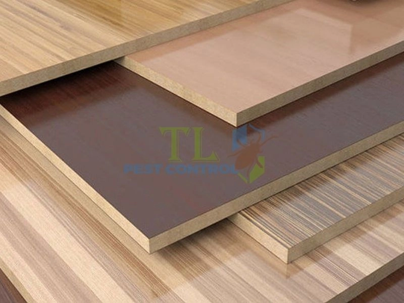 Mối có ăn gỗ công nghiệp không