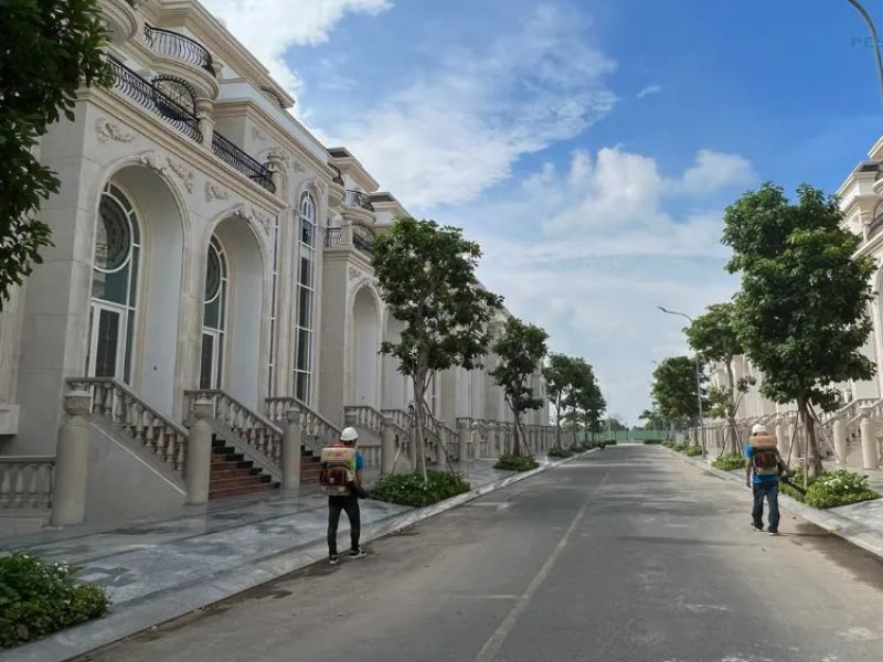 Dịch vụ phòng chống mối cho công trình tại Phường Thới An