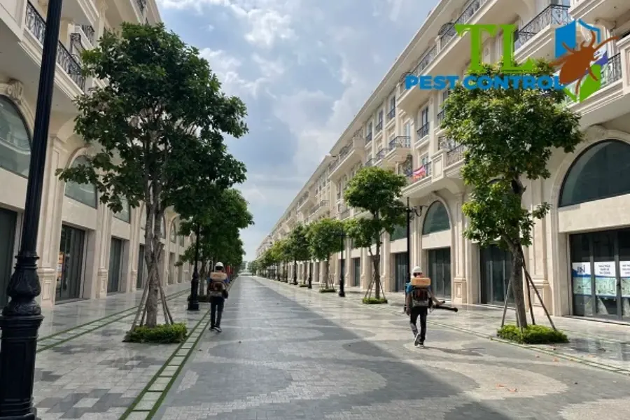 Báo Giá Dịch Vụ Diệt Muỗi Vũng Tàu Giá Tốt Nhất Tận Gốc, Uy Tín