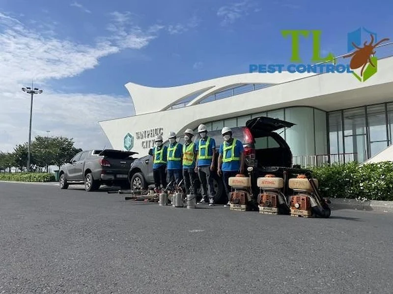 dịch vụ diệt mối quận 12