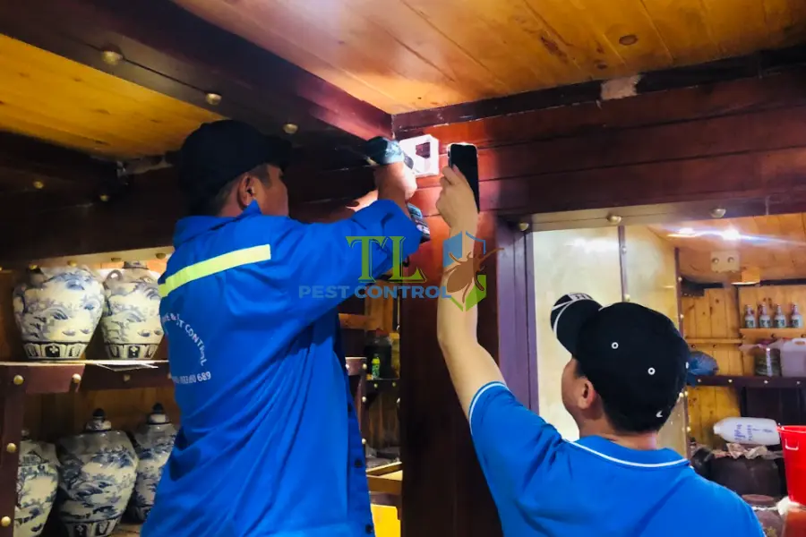 Diệt mối tại Vũng Tàu