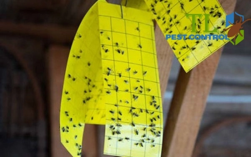 Tác hại của bồ hóng trên bóng đèn