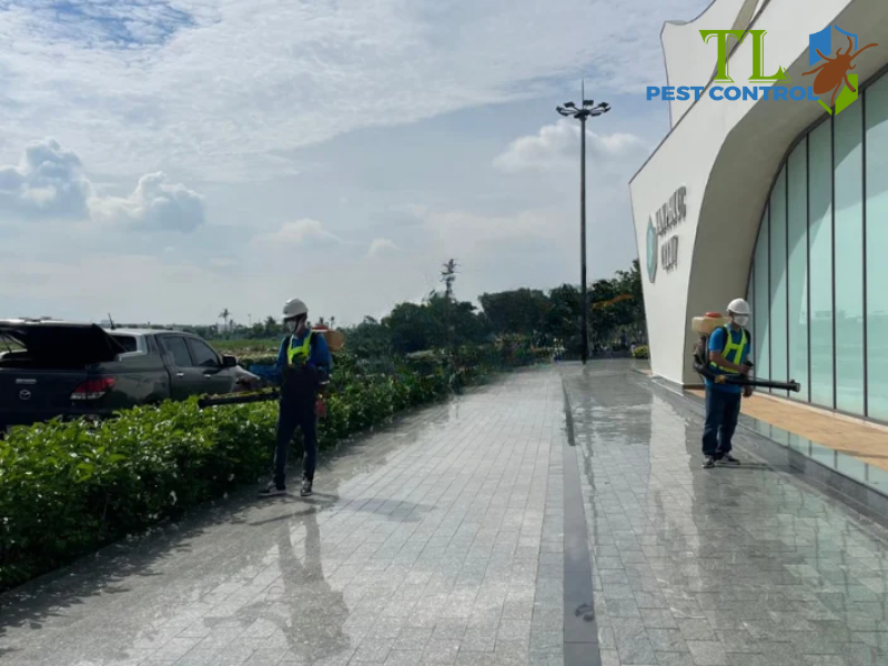 Dịch vụ diệt muỗi tận gốc Trần Long