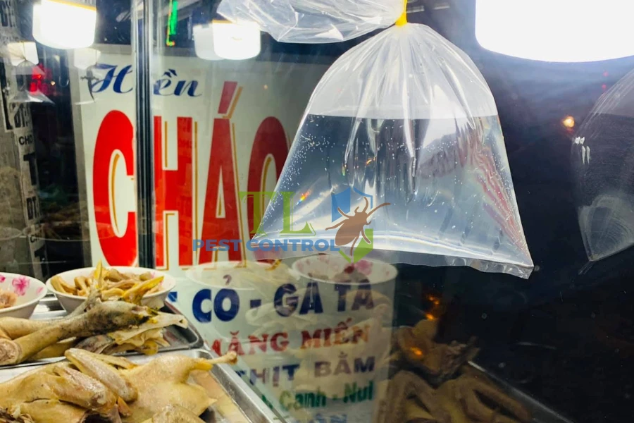 Treo Túi Nước Đuổi Ruồi Có Hiệu Quả Không? Giải Đáp Chi Tiết