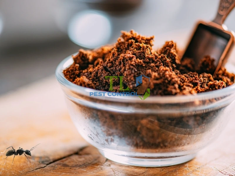 Diệt kiến bằng bã cà phê