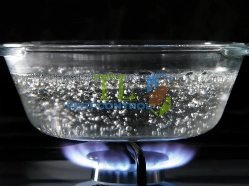 diệt mối sàn gỗ
