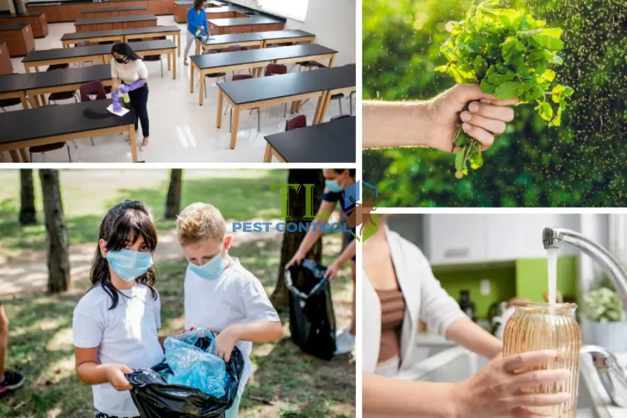 Cách Diệt Muỗi Cho Trường Học An Toàn, Hiệu Quả