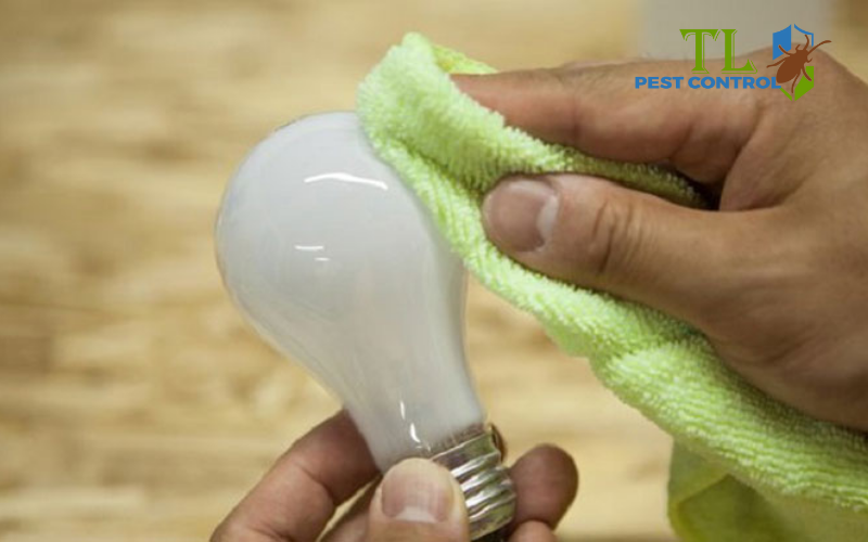 Làm sạch bóng đèn 