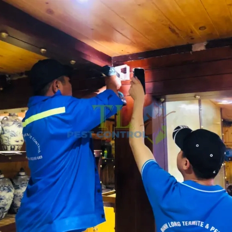 diệt mối bình thạnh diệt mối bình thạnh