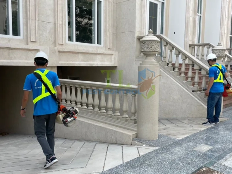 diệt mối tủ quần áo 